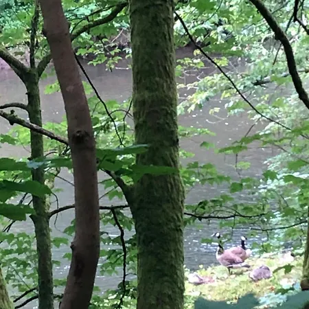 Urbane Remise * لايشلينغن