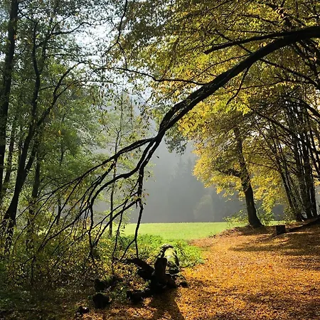 Apartament Urbane Remise Leichlingen