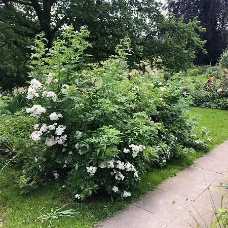 Urbane Remise شقة *