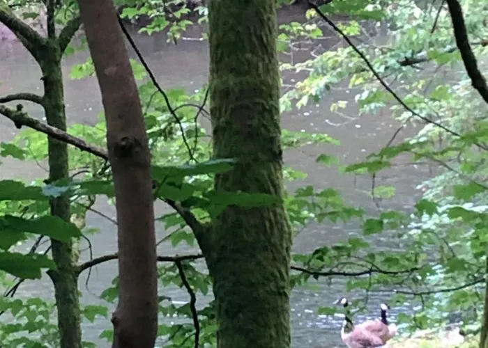 Urbane Remise * Leichlingen